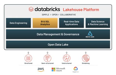 You will find it a bit difficult to manage code in notebooks but you will get used to it soon. . What is the access point to the databricks lakehouse platform for business analysts